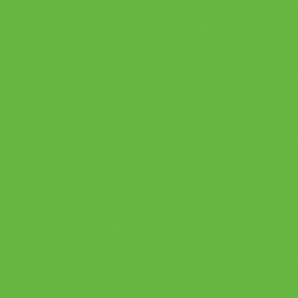 Blush Vinyl - Uni grøn