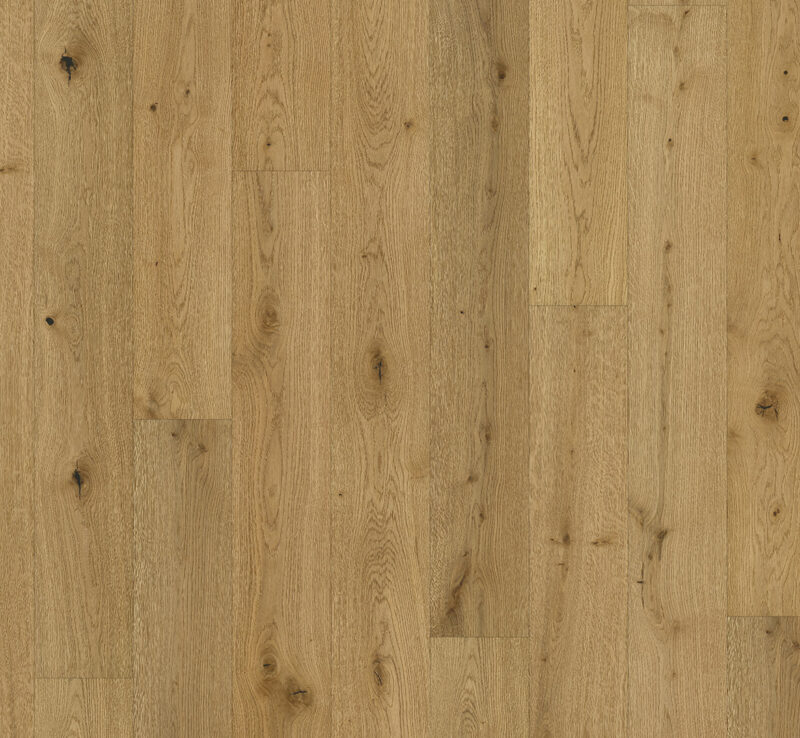 Parador Plank Classic 3060 - Eg Soft struktur, Planke naturolieret plus - Billede 2