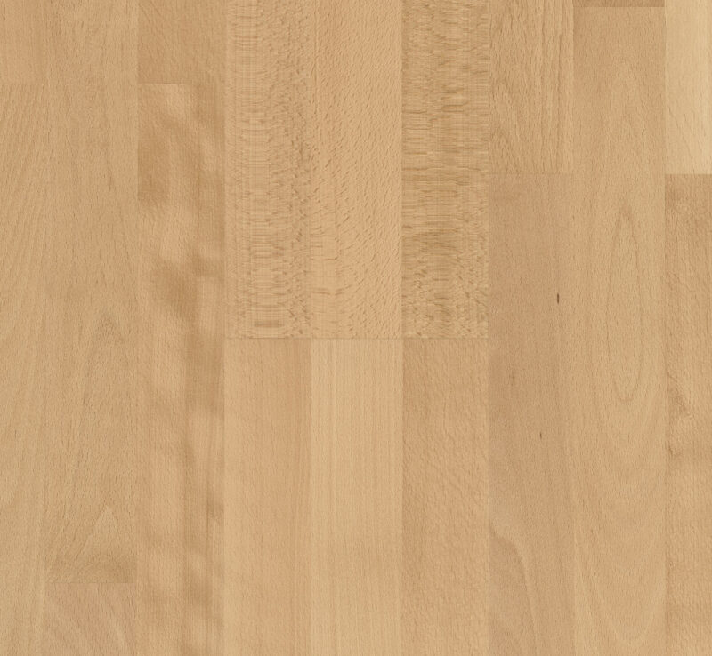 Parador Trægulv Basic 11-5 - Bøg, 3-stavs Natur mat lak - Billede 2