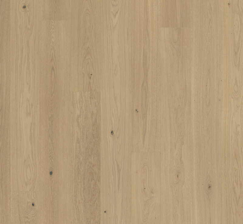 Parador Plank Classic 3060 - Eg sanded, Planke Natur ekstramat lak - Billede 2
