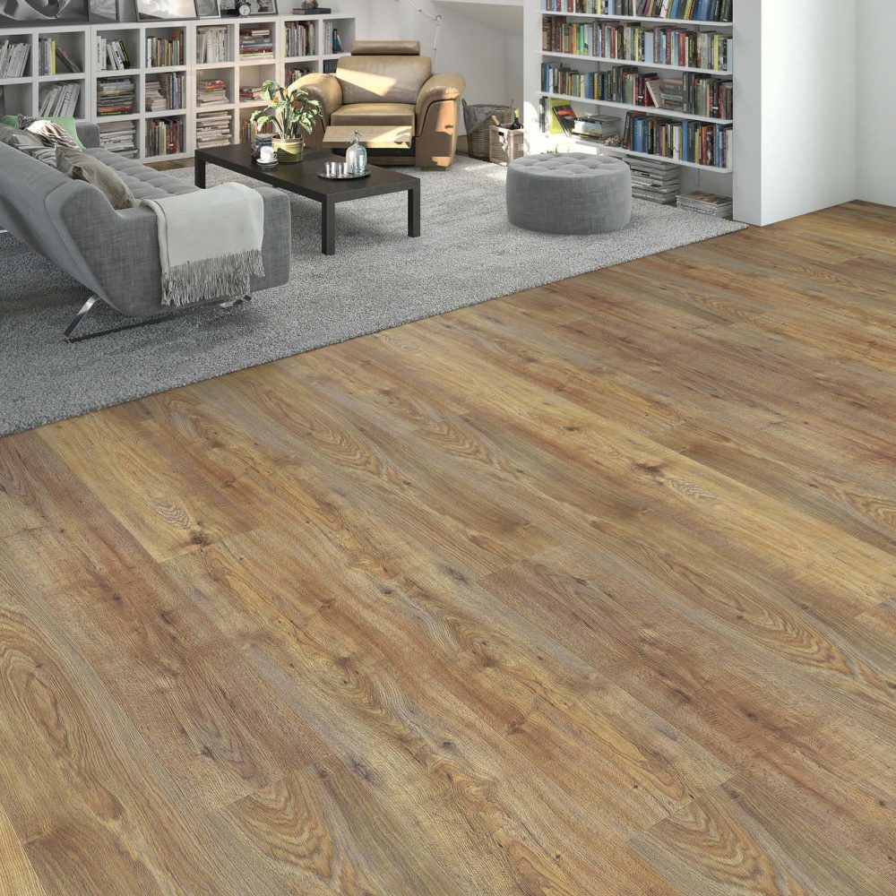 HARO WaveAqua Plank XL 4V Eg Quebec caramel authentic